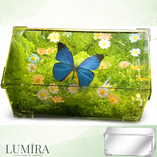 Butterfly Serenity Box – A Living Gift